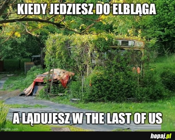 The Last of Us