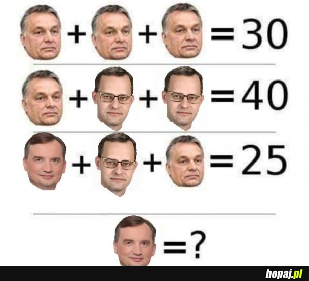 Prawdziwy memiarz wie po pierwszym rzucie oka