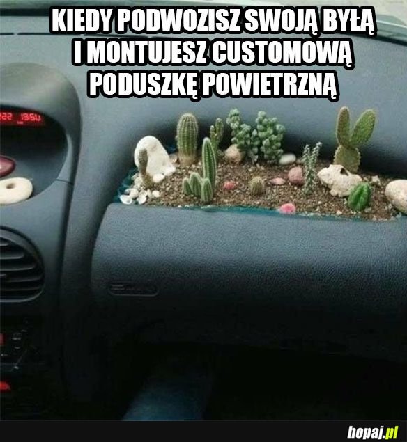 Poduszka dla byłej