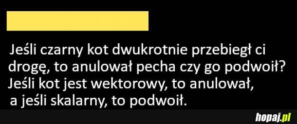 Czarny kot przebiegł drogę