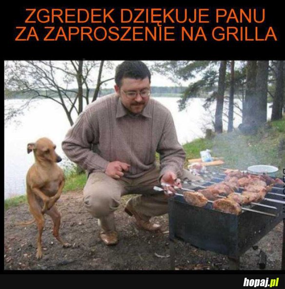 Zgredek