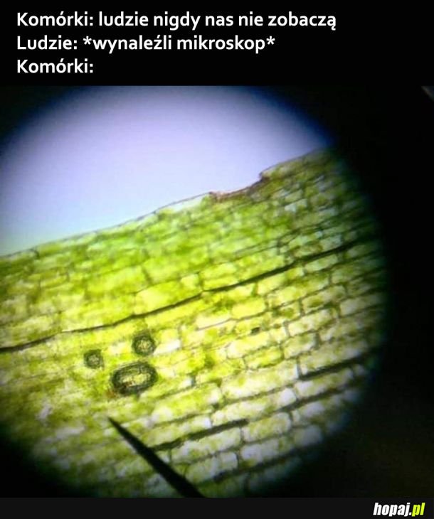 Komórki vs ludzie