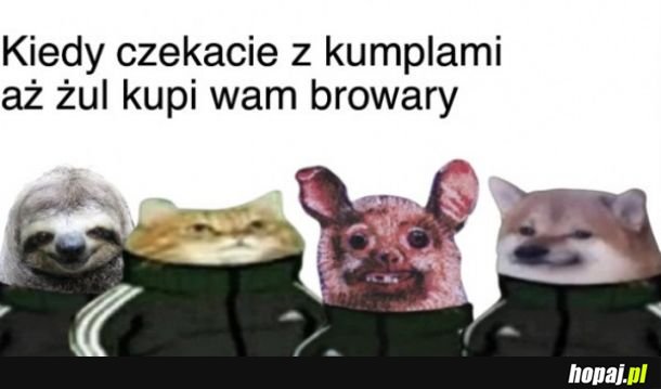 Ziomeczki