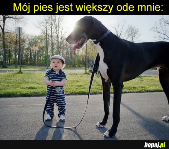 Duży pieseł