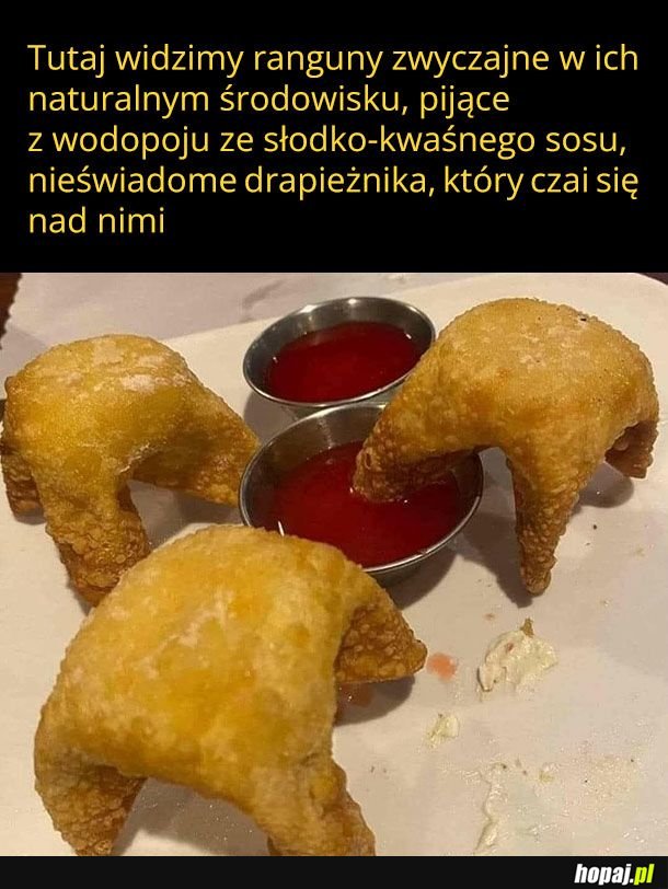 Czytała Krystyna Czubówna