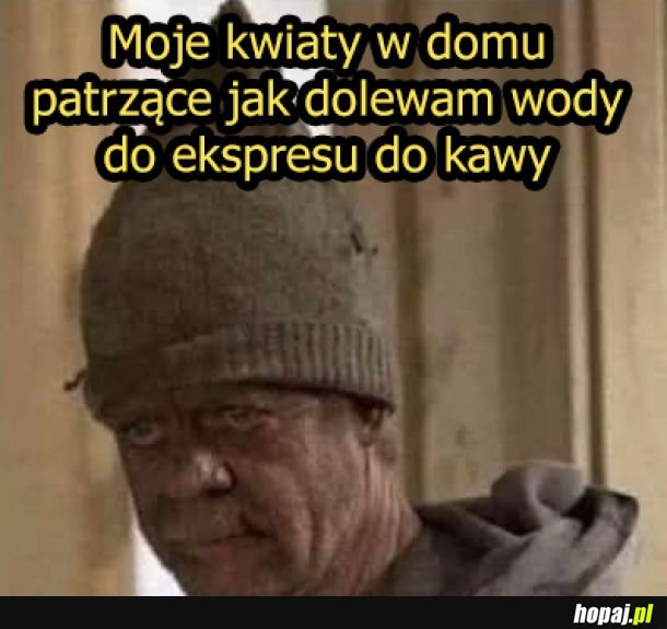 Nie ma pośpiechu