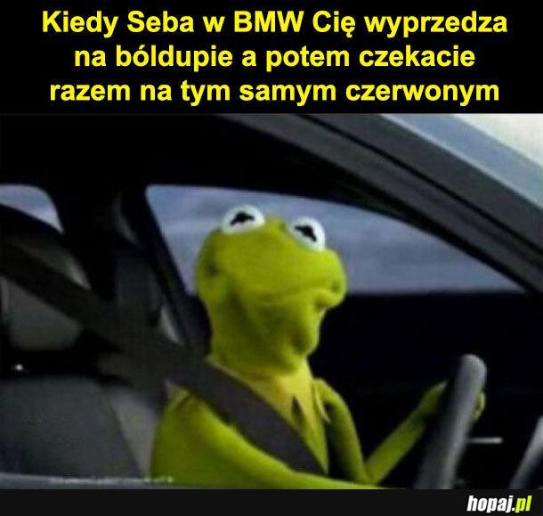 Seba w BMW