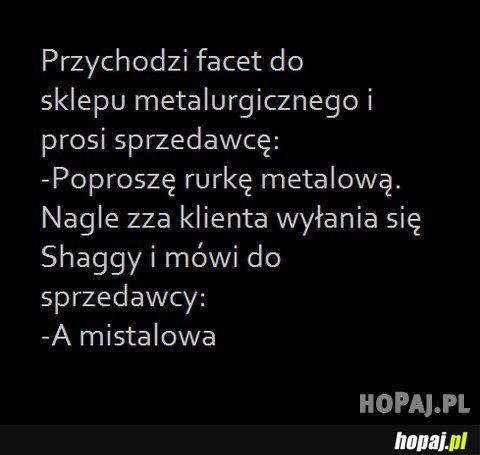 Przychodzi facet do sklepu metalurgicznego...