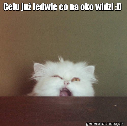 Gelu już ledwie co na oko widzi :D