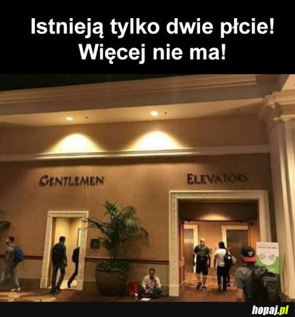 NAUCZCIE SIĘ W KOŃCU