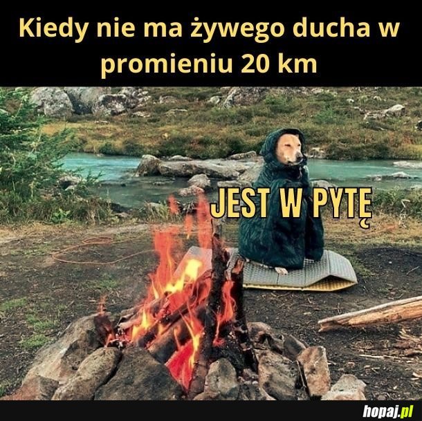 A jak sytuacja wygląda z martwymi duchami?