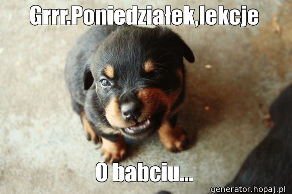 Grrr.Poniedziałek,lekcje