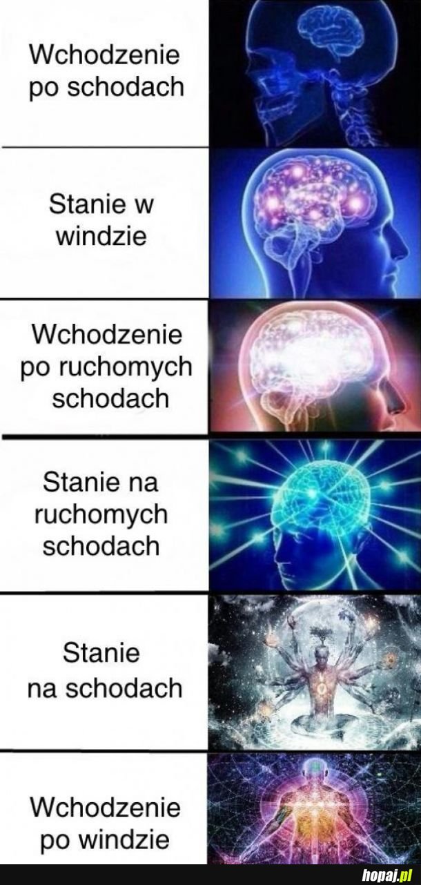 Level ostateczny