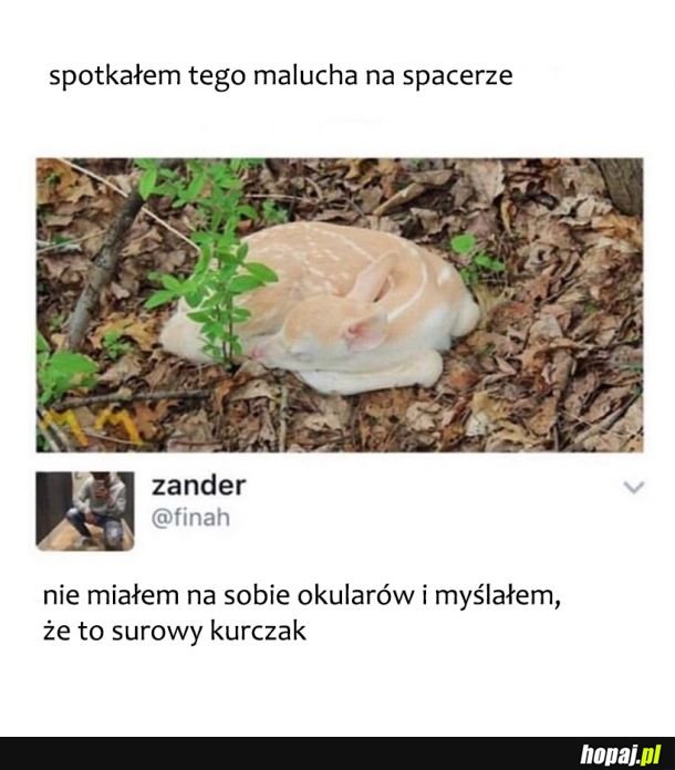 Spacer 