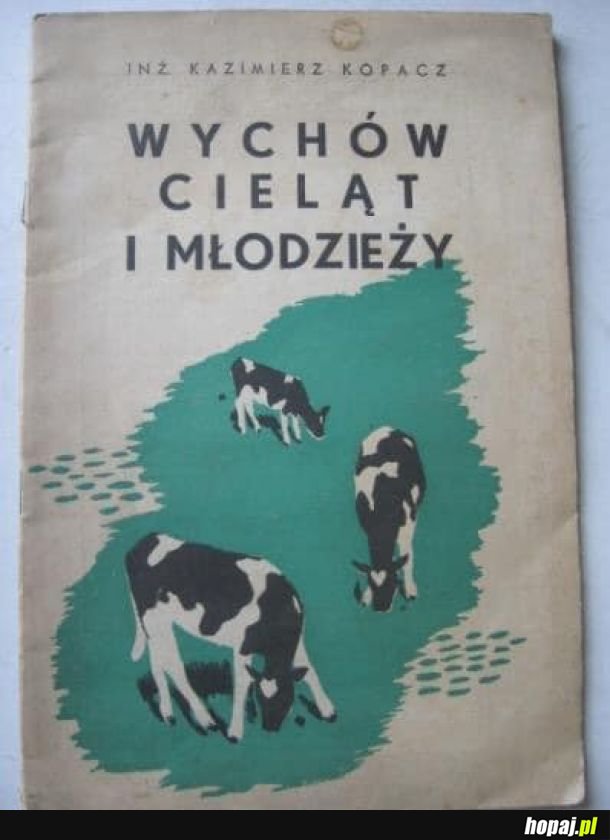 Pedagogika kiedyś 