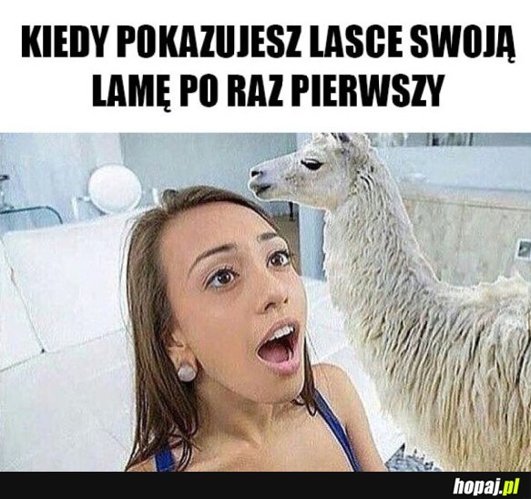 JEST ZSZOKOWANA