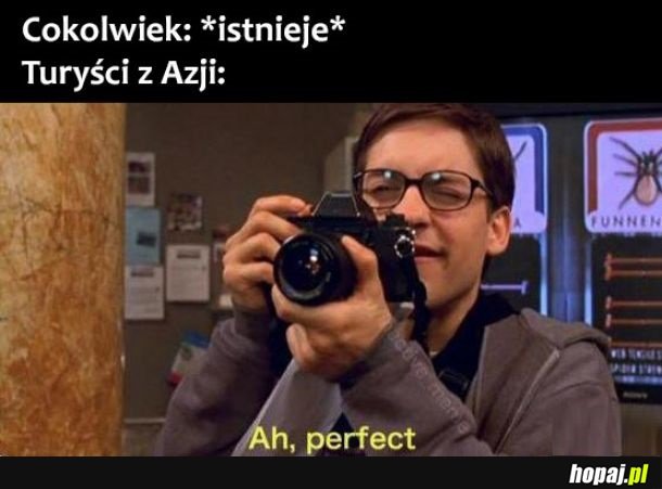 Turyści z azji