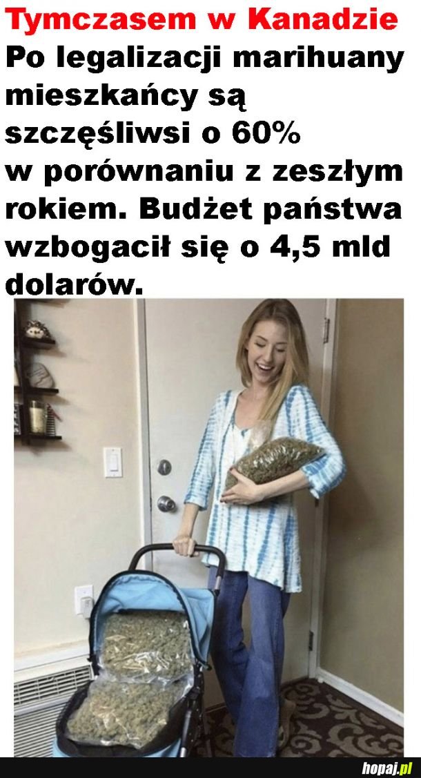 Tymczasem w Kanadzie