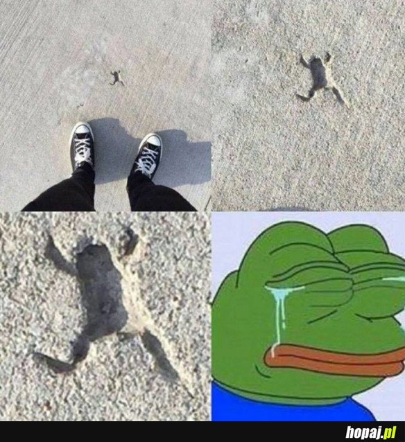 BIEDNY PEPE