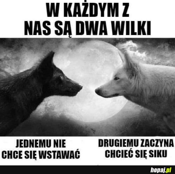 Odwieczna walka