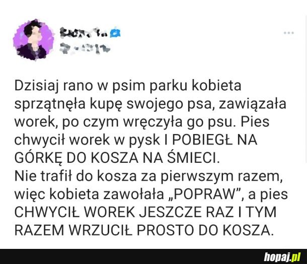 Mądrzejszy od ludzi