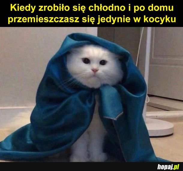 Chłodno