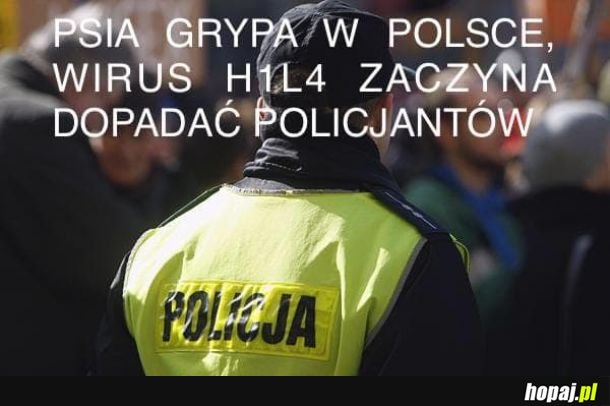 L4 policjantów