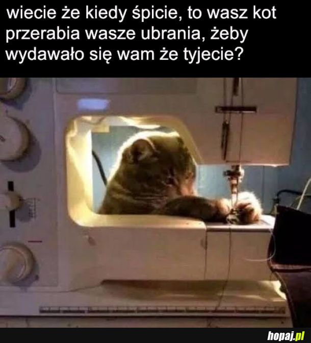 Wredny pupil