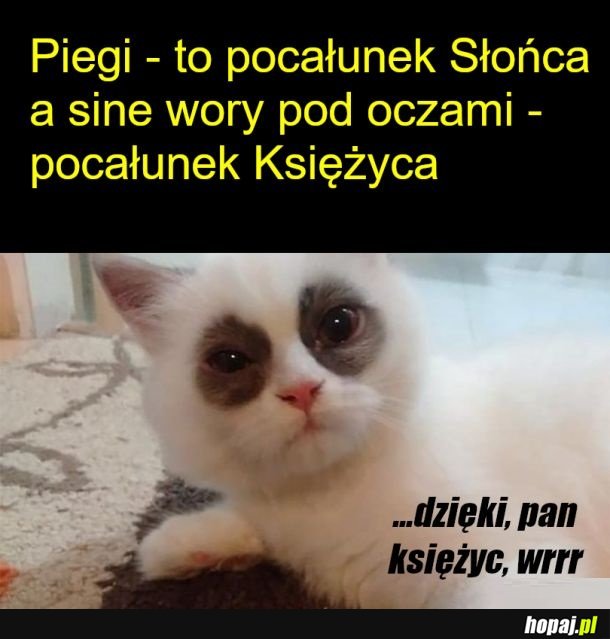 Tak to działa
