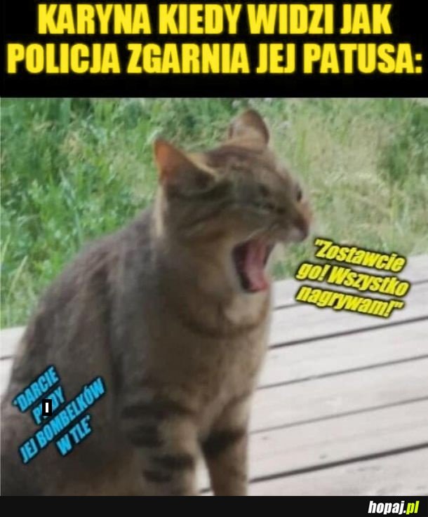 Karyna