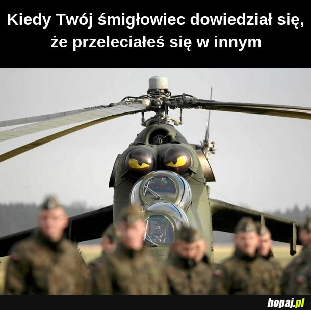 Czym różni się śmigłowiec od helikoptera? 