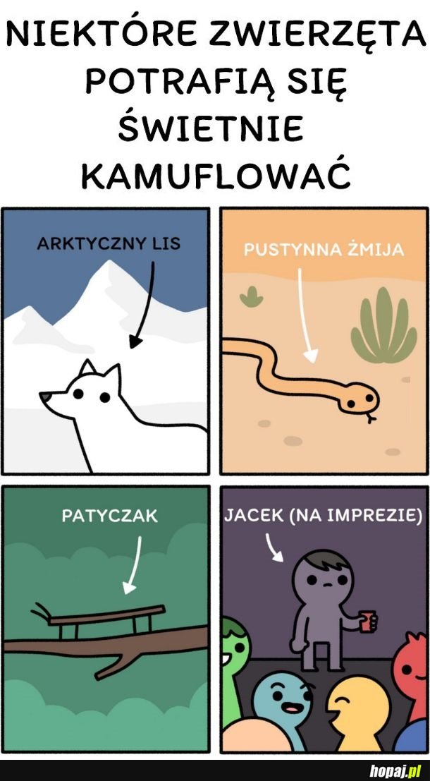 Kamuflaż