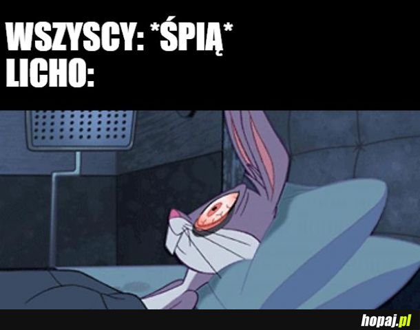  Licho