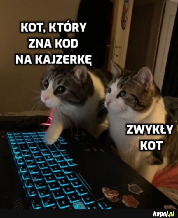 Wtajemniczony