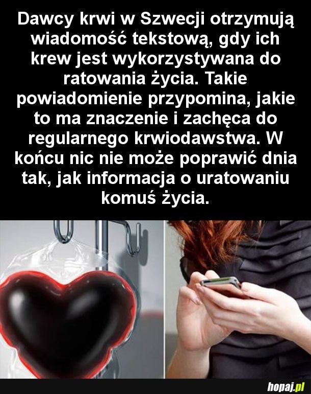 Tak powinno być wszędzie