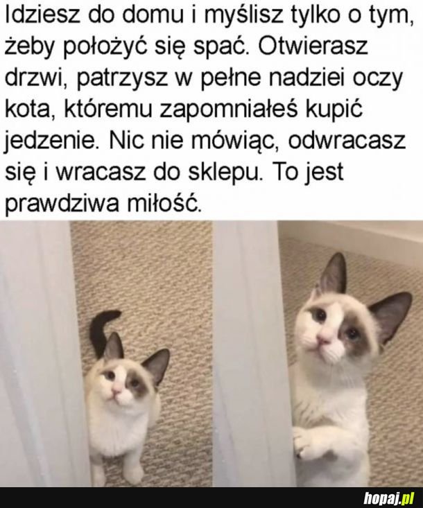 Lepiej kupować na zapas