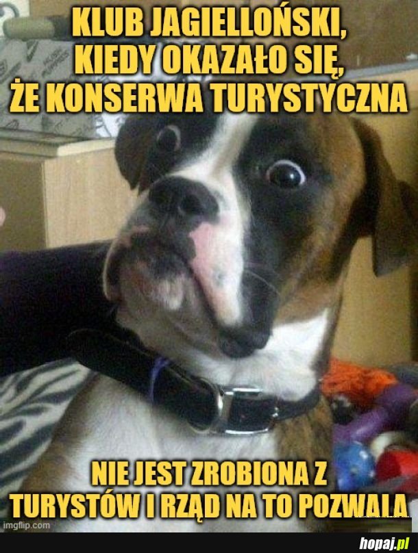 Klub inteligentów.