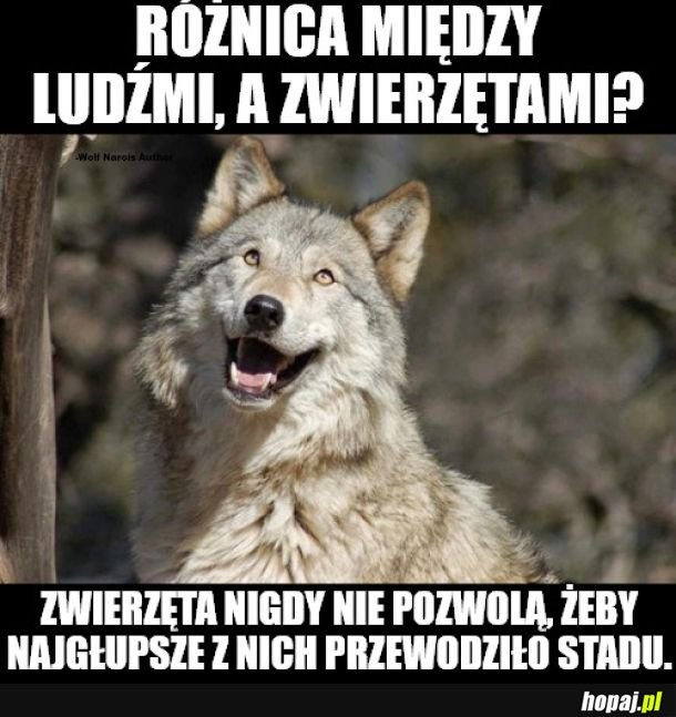 Zatraciliśmy po drodze instynkt samozachowawczy. 