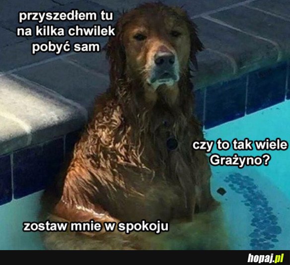 SPADAJ GRAŻYNO