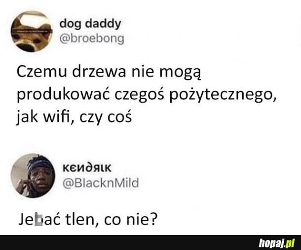 Świetny pomysł