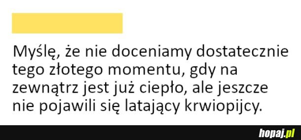 Złoty moment