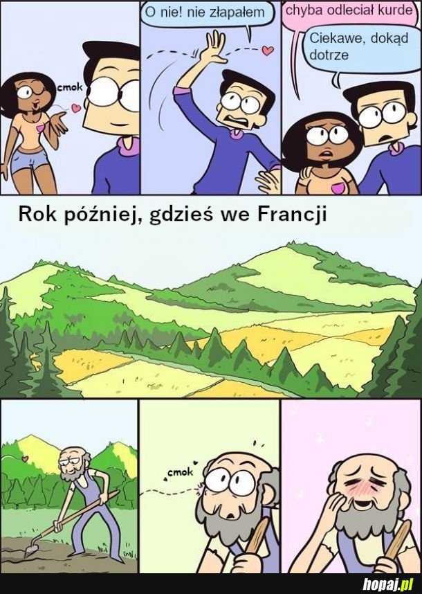 Leci i leci