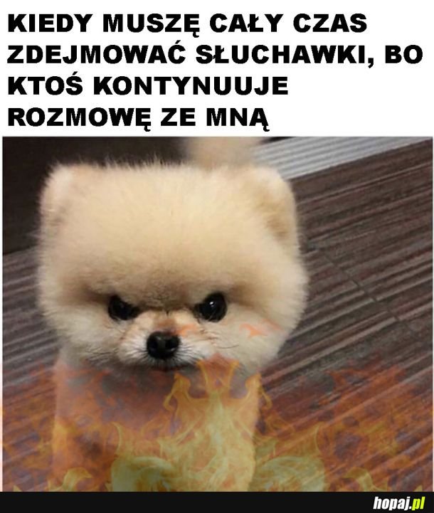 Złość