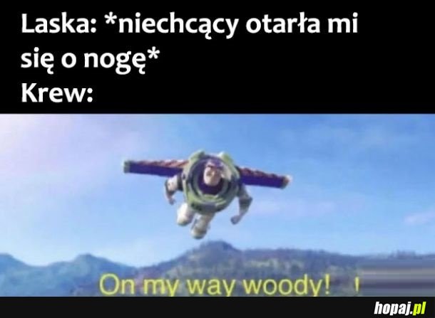 Mini zawał