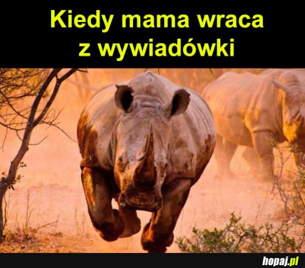 Przypał