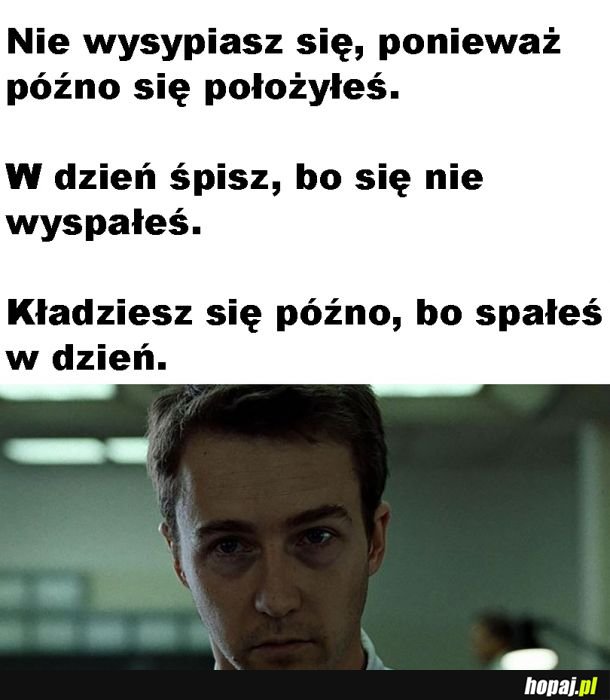 Dudek siedział na dachu