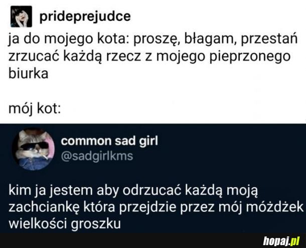 Za dużo byś chciał, człowieczku 