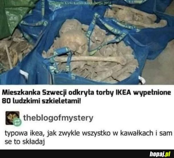 Człowiek zip