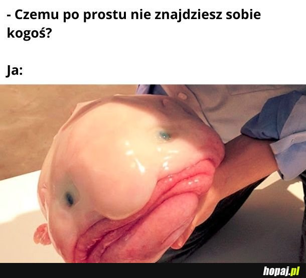 No nie wiem