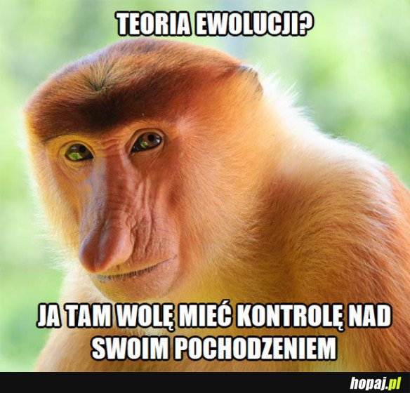 NIECH LEWAKI WYJĄ XD